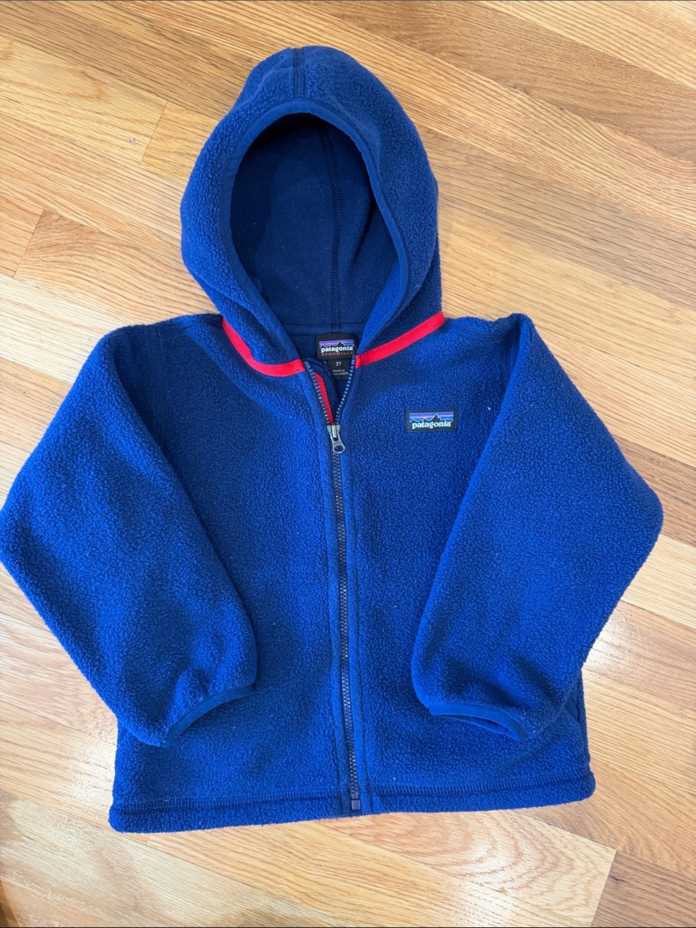 Patagonia Kids Blue Fleece Hoodie with Red Trim